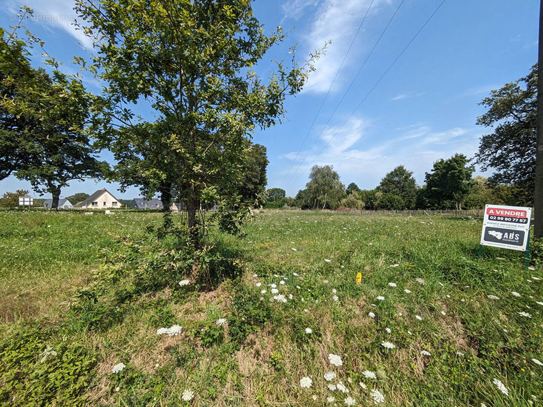 Terrain à SAINT-DOLAY