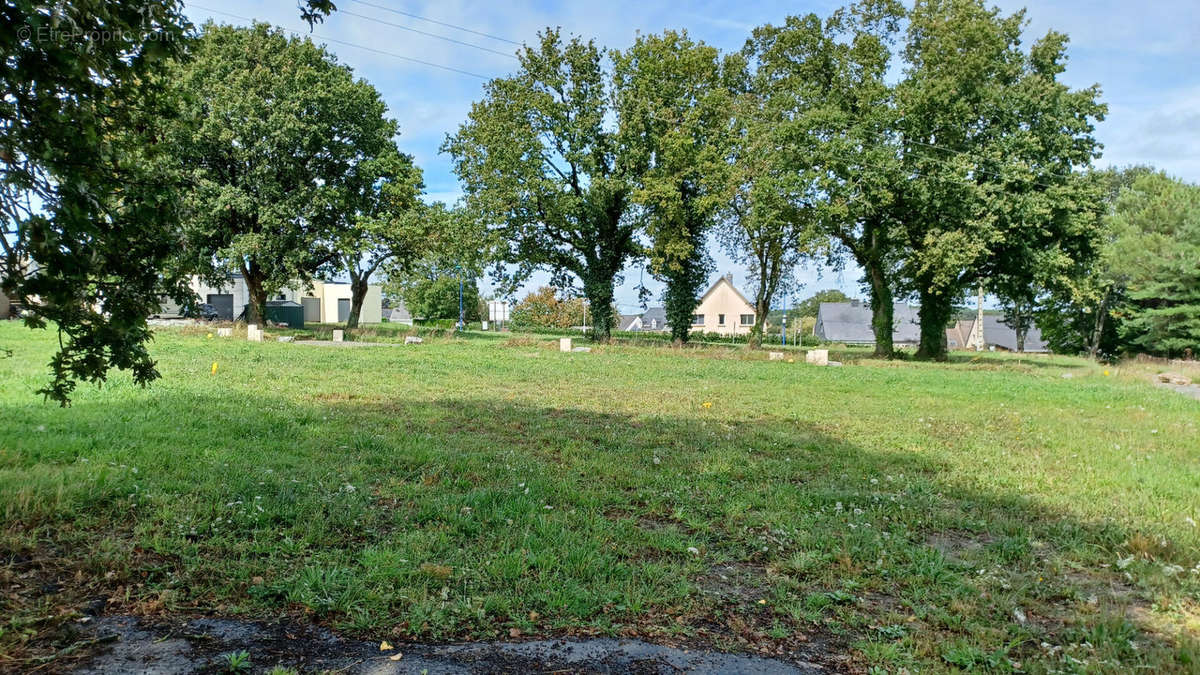 Terrain à SAINT-DOLAY