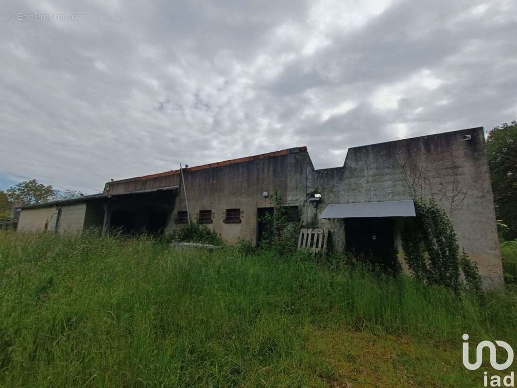 Photo 4 - Commerce à OUZOUER-SUR-LOIRE