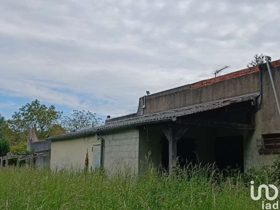 Photo 5 - Commerce à OUZOUER-SUR-LOIRE