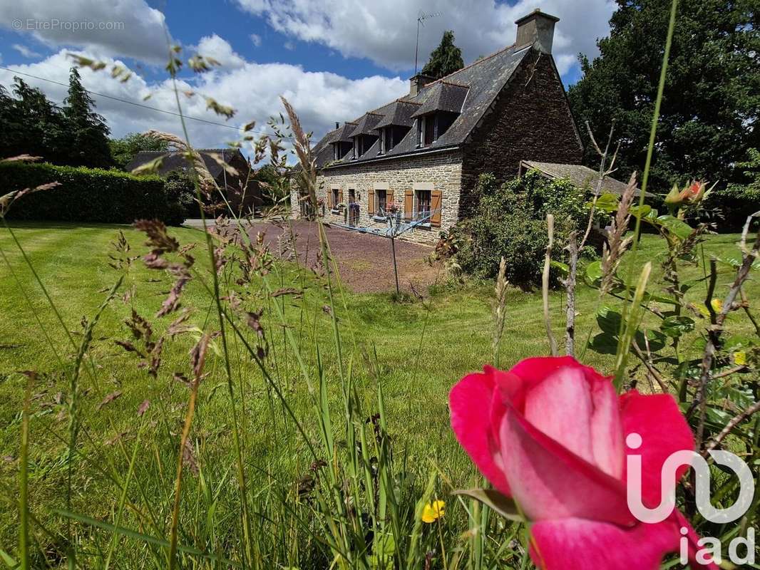 Photo 2 - Maison à LA GREE-SAINT-LAURENT