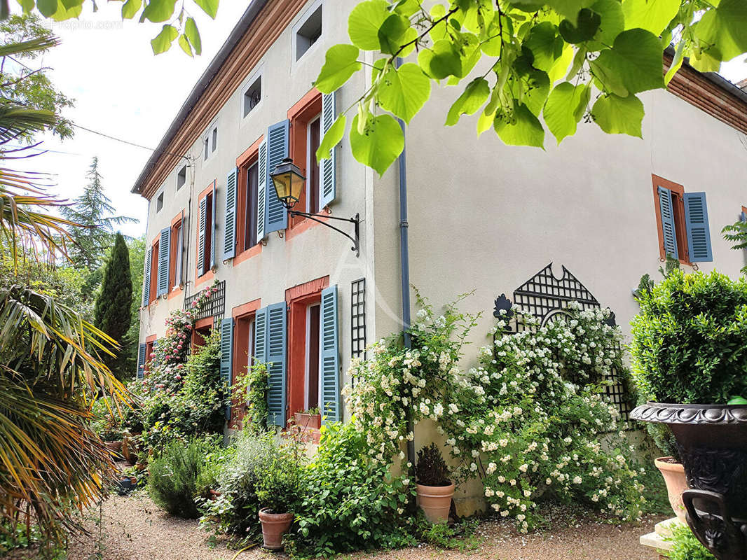 Maison à LAVAUR