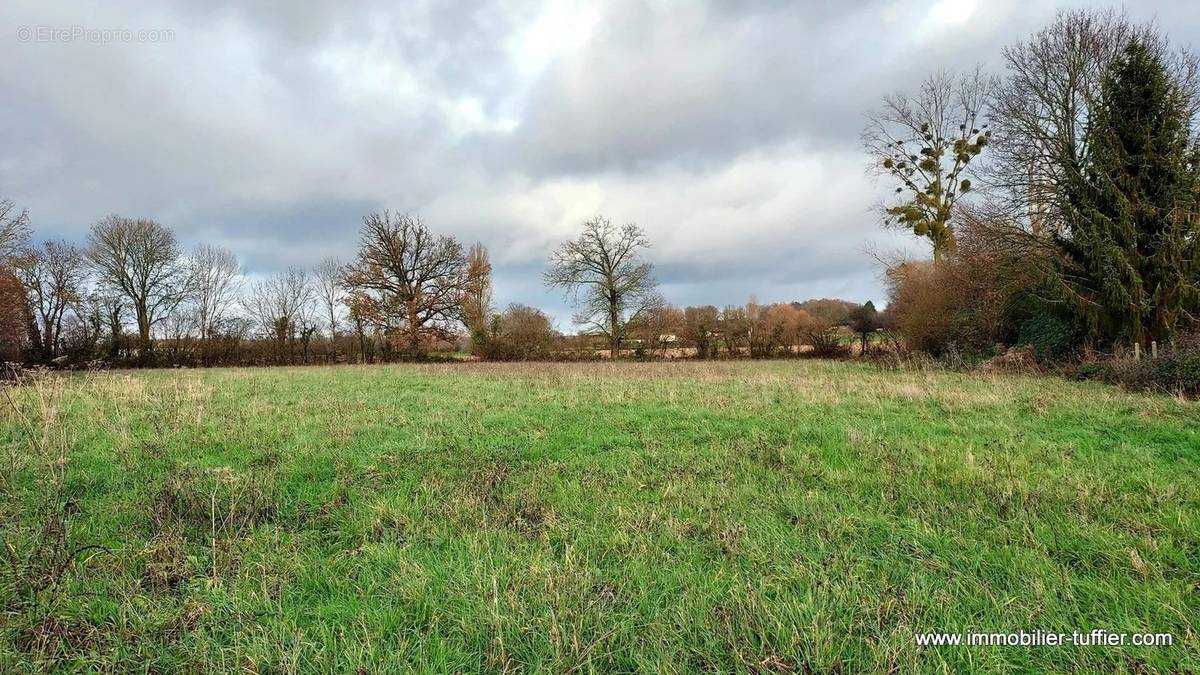 Terrain à BEAUFAY