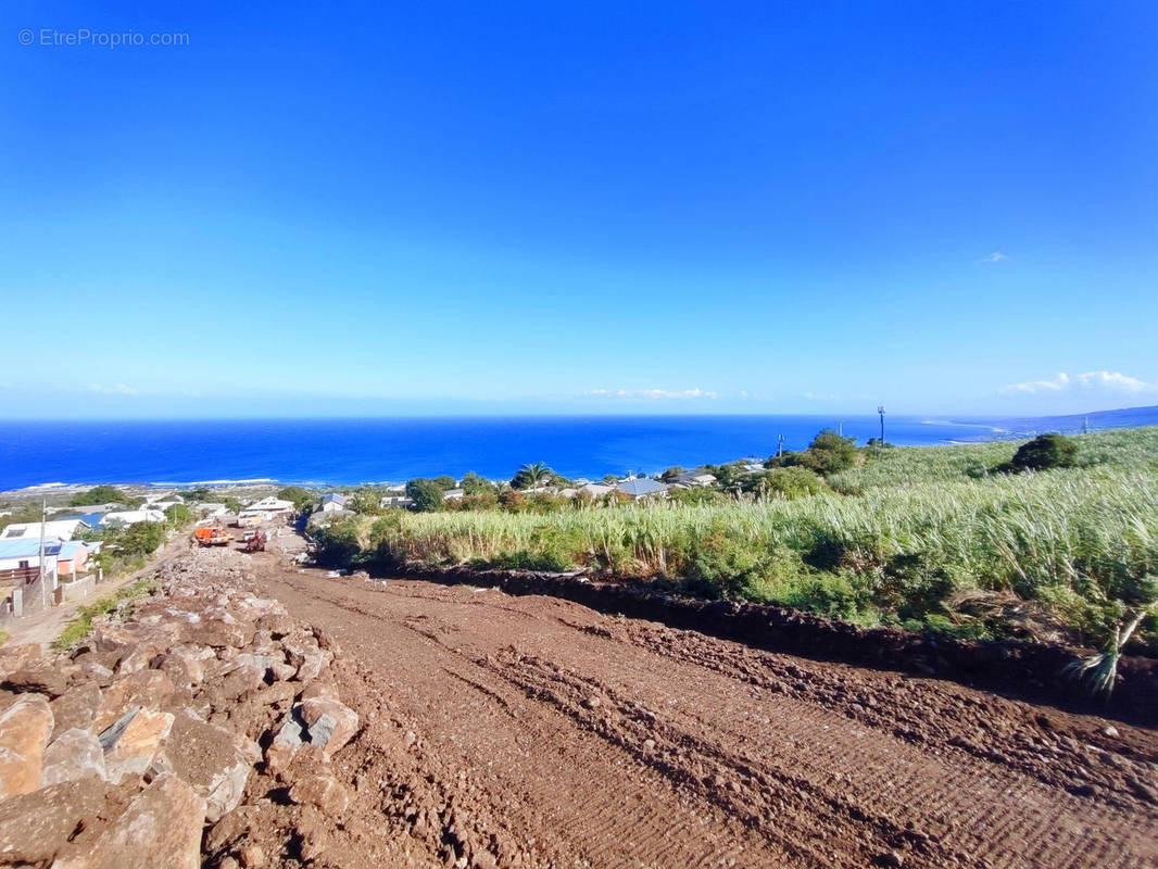 Terrain à LE PORT