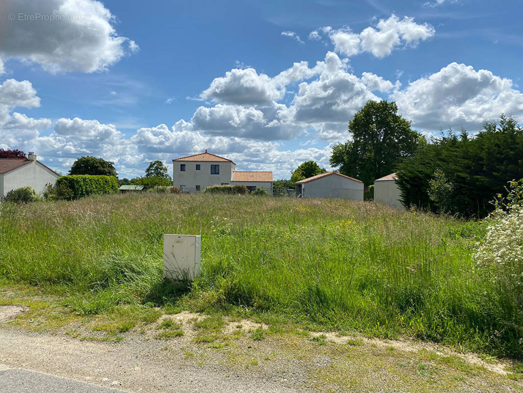 Terrain à LA CHAPELLE-BASSE-MER