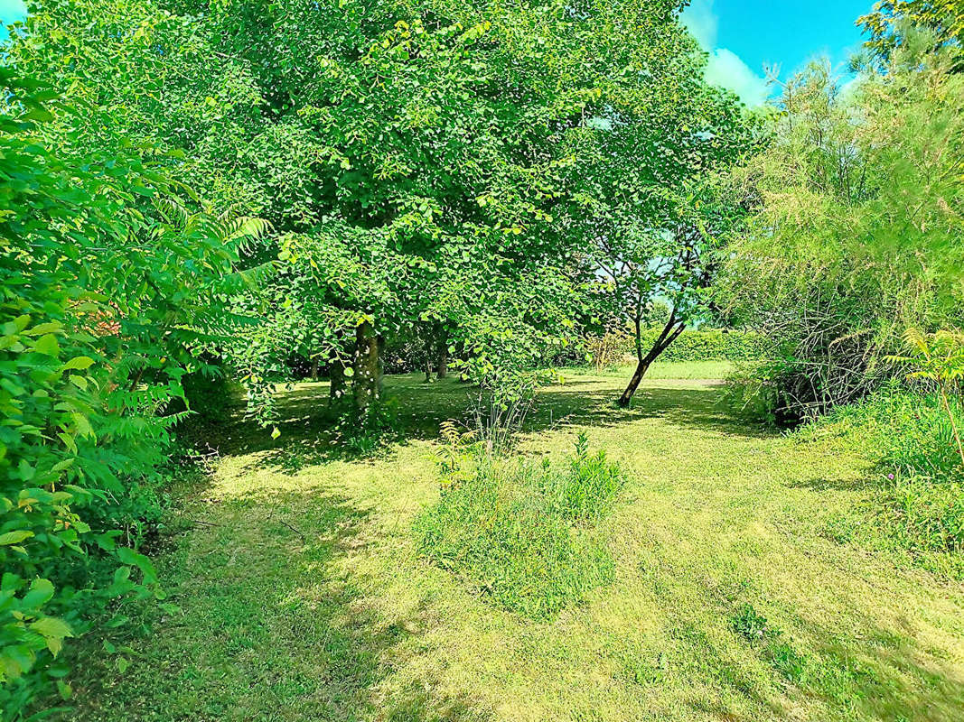 Terrain à COMMEQUIERS