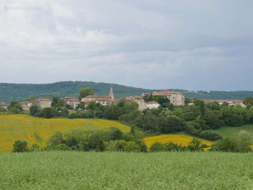 Commerce à MARTRES-TOLOSANE