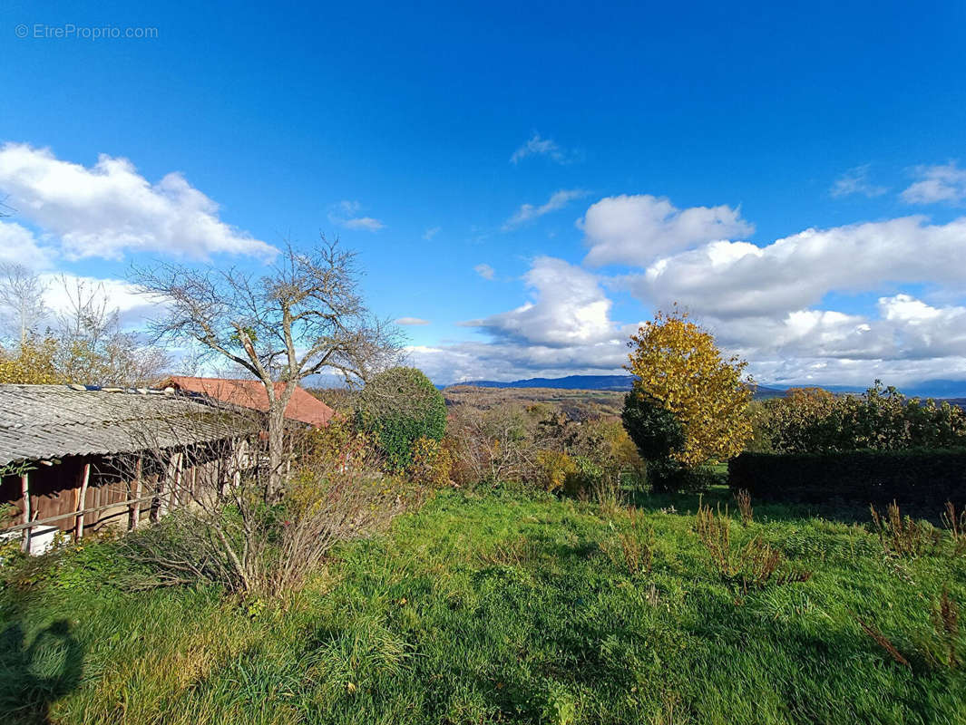 Terrain à SAVIGNY