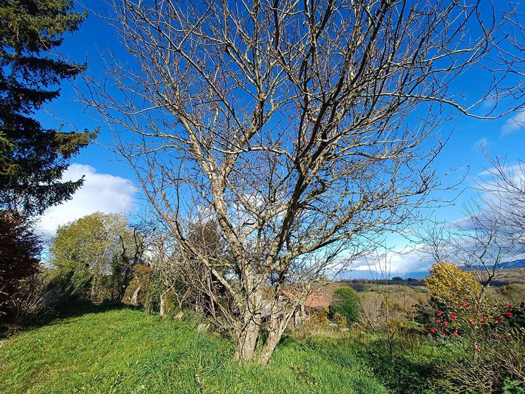 Terrain à SAVIGNY