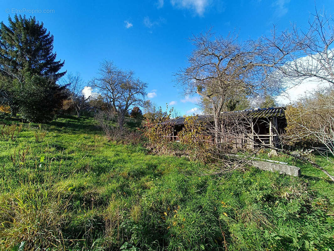 Terrain à SAVIGNY