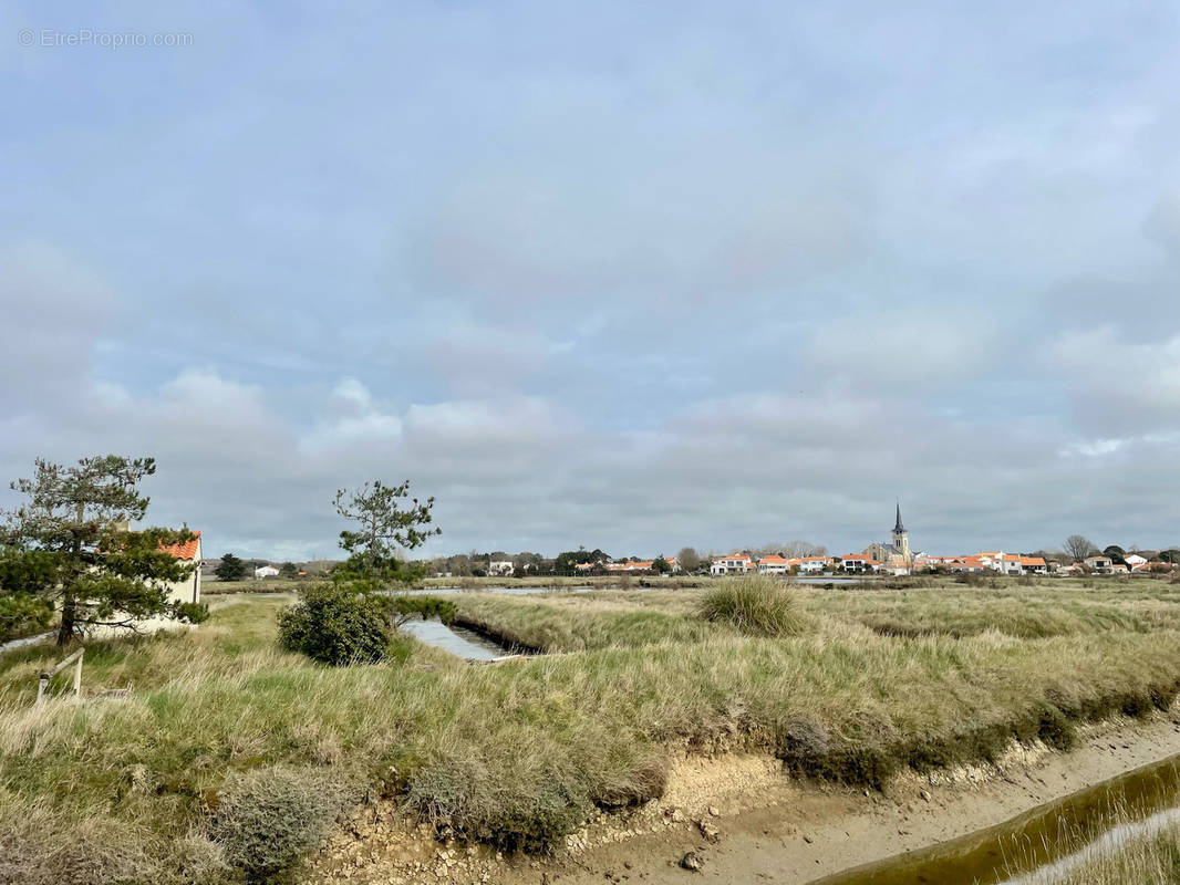 Terrain à L&#039;ILE-D&#039;OLONNE