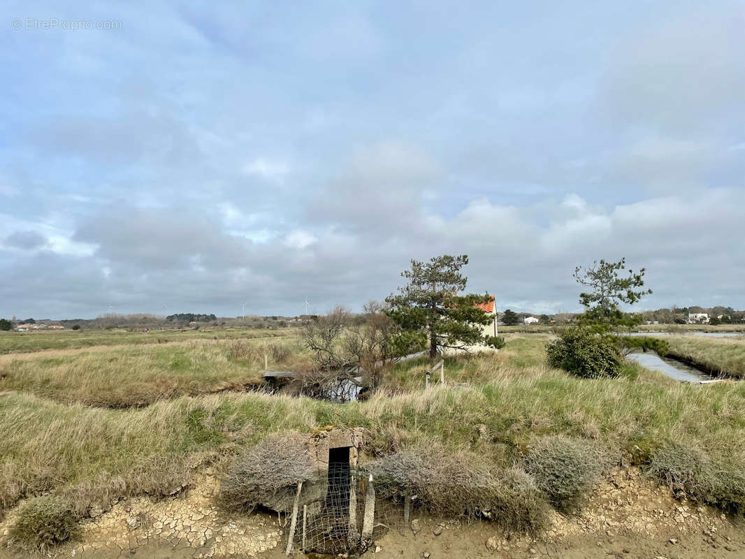 Terrain à L&#039;ILE-D&#039;OLONNE