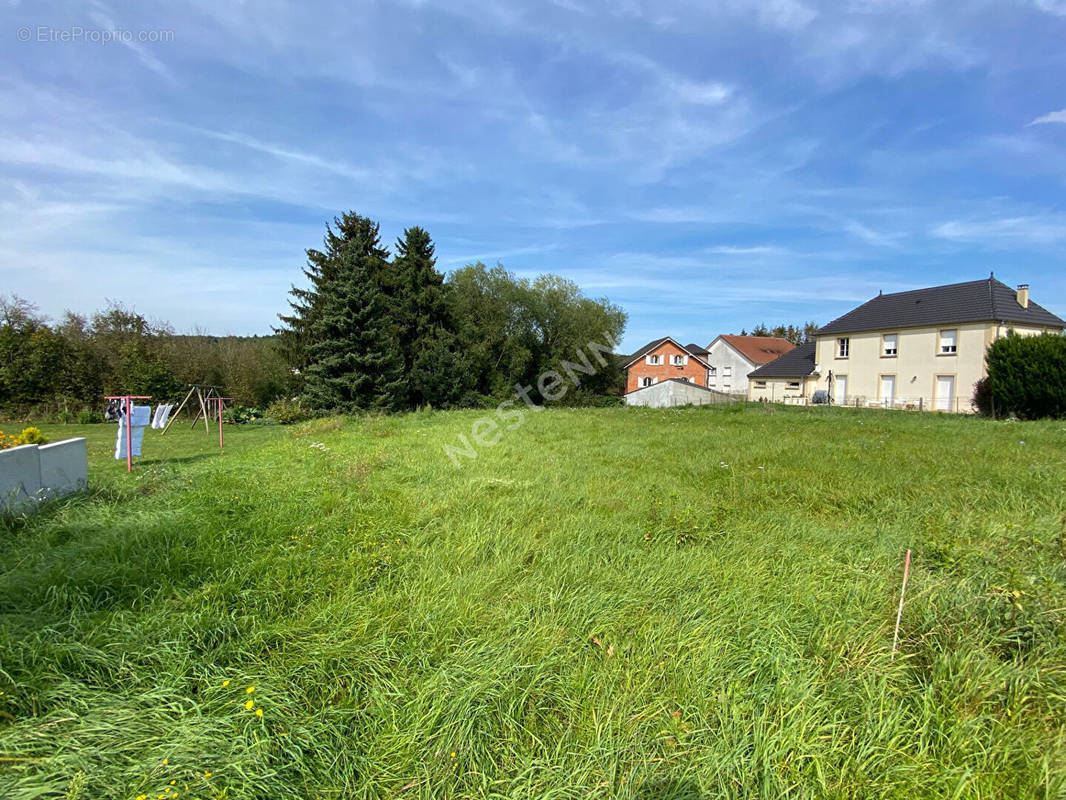 Terrain à LONGEVILLE-LES-SAINT-AVOLD