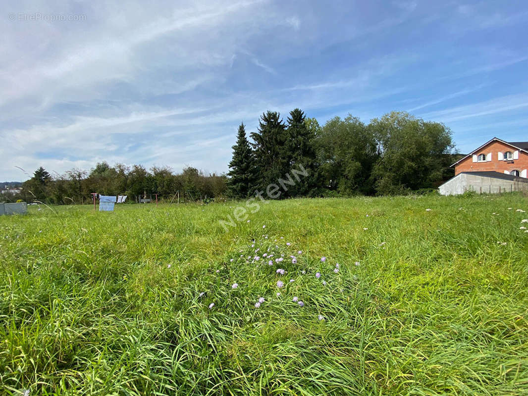 Terrain à LONGEVILLE-LES-SAINT-AVOLD