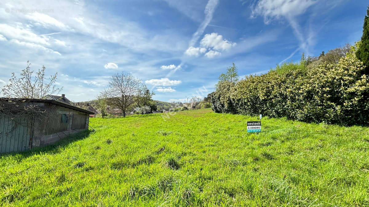 Terrain à VARSBERG