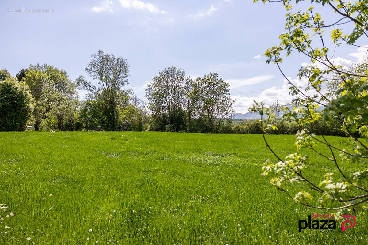 Terrain à FOREST-SAINT-JULIEN