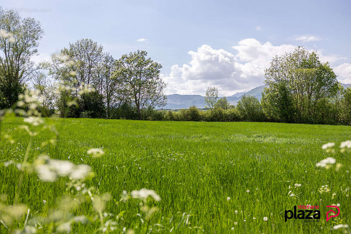 Terrain à FOREST-SAINT-JULIEN