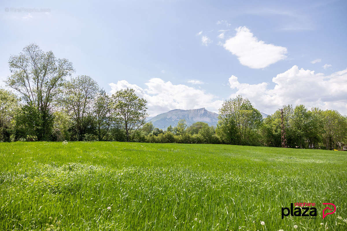 Terrain à FOREST-SAINT-JULIEN