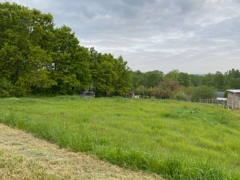 Terrain à CHAUMONT-SUR-LOIRE