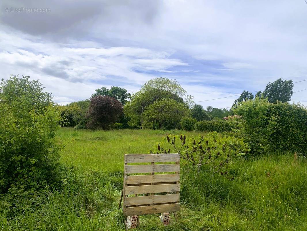 Terrain à SAINT-PIERRE-DE-BAT