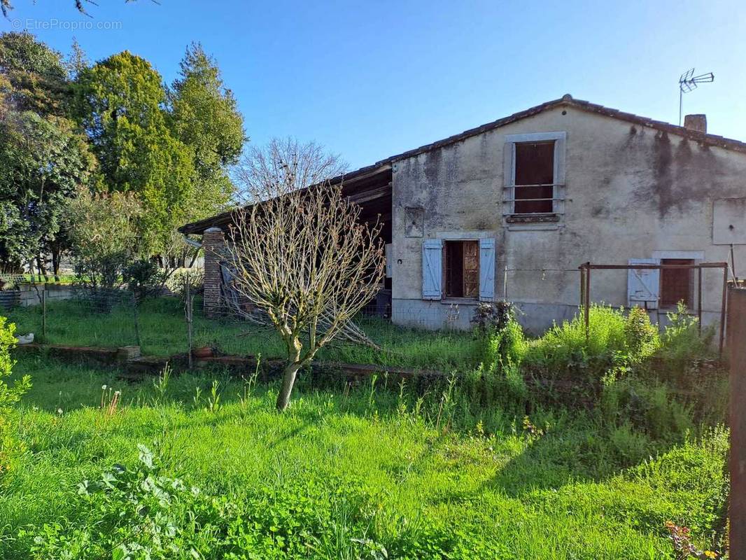 Jardin  - Maison à GAGNAC-SUR-GARONNE