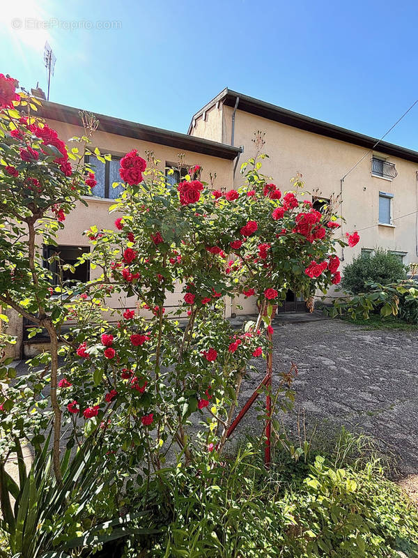 Maison à FLEURIEU-SUR-SAONE