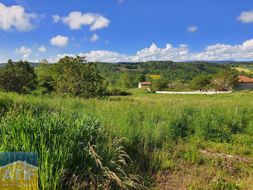 Terrain à CEZAY