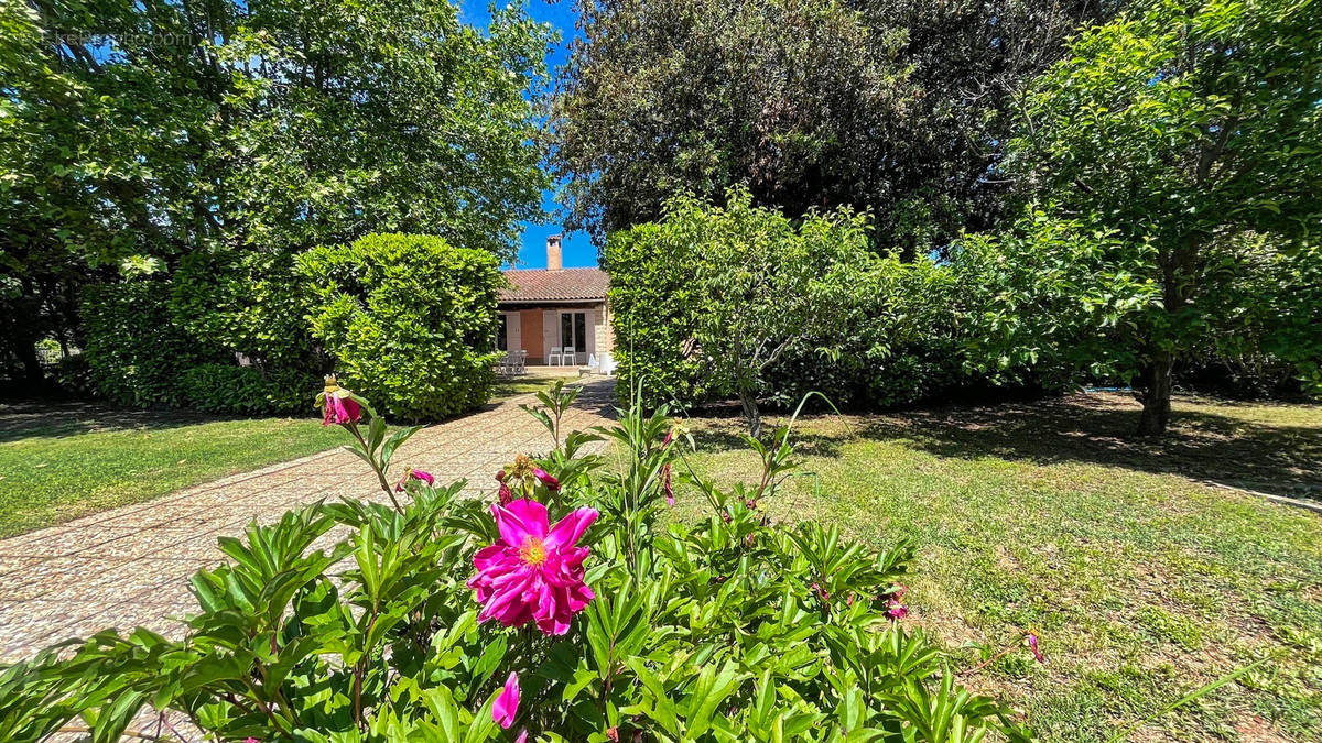 Maison à ENTRAIGUES-SUR-LA-SORGUE