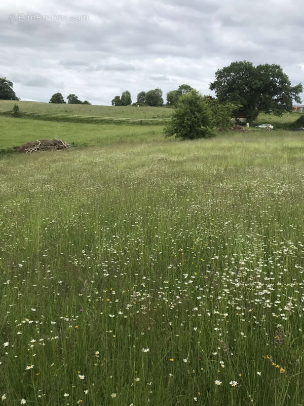 Terrain à SALIES-DE-BEARN