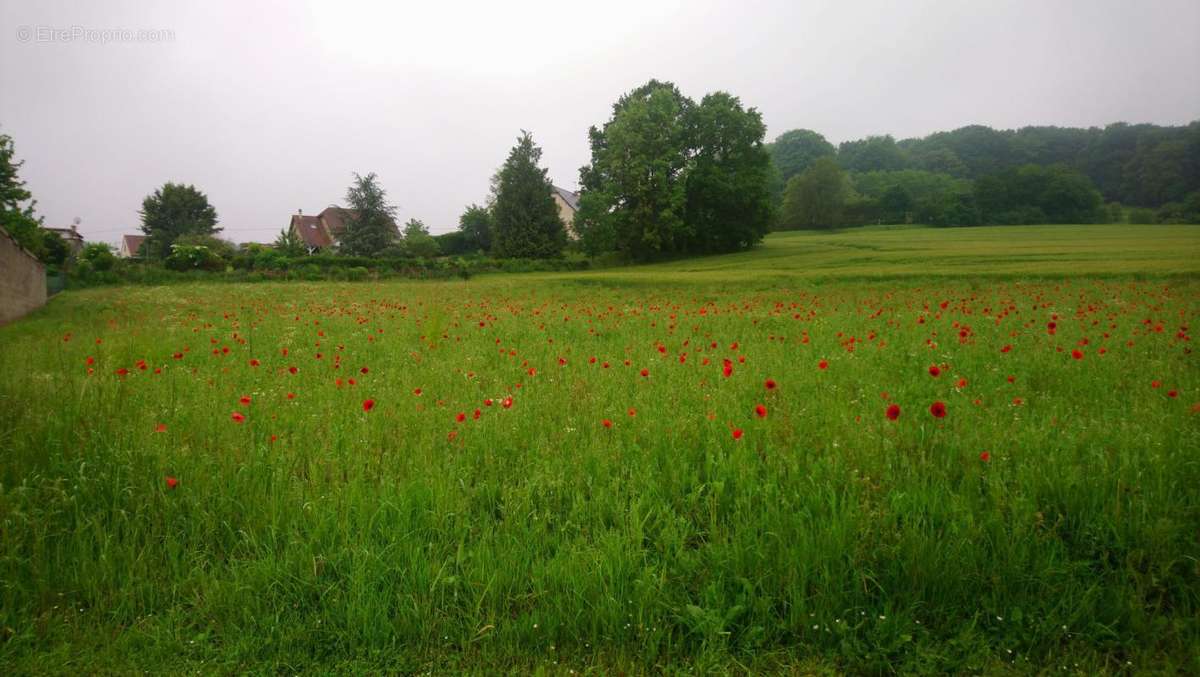 Terrain à BARISIS