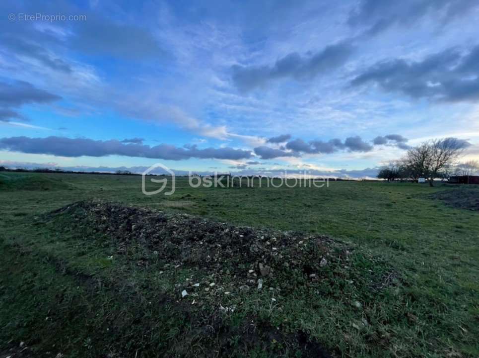 Terrain à LIGUEIL