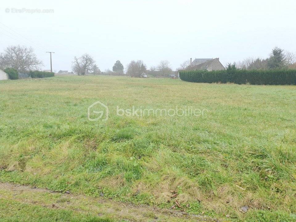 Terrain à LA CROIX-EN-TOURAINE