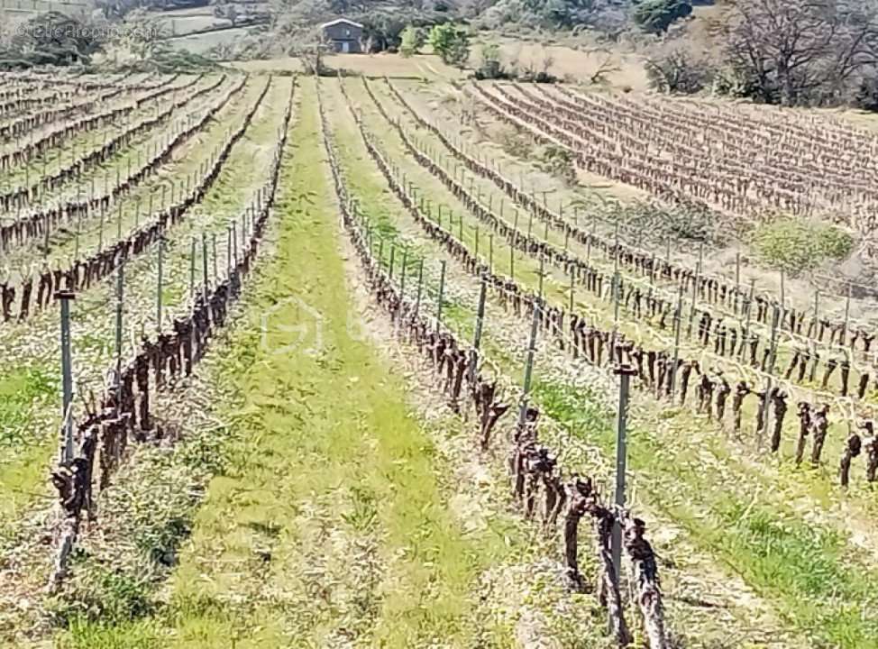 Terrain à MURVIEL-LES-BEZIERS