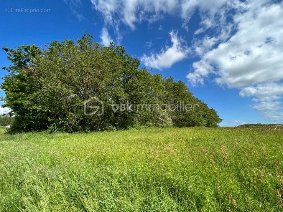 Terrain à MARRAY