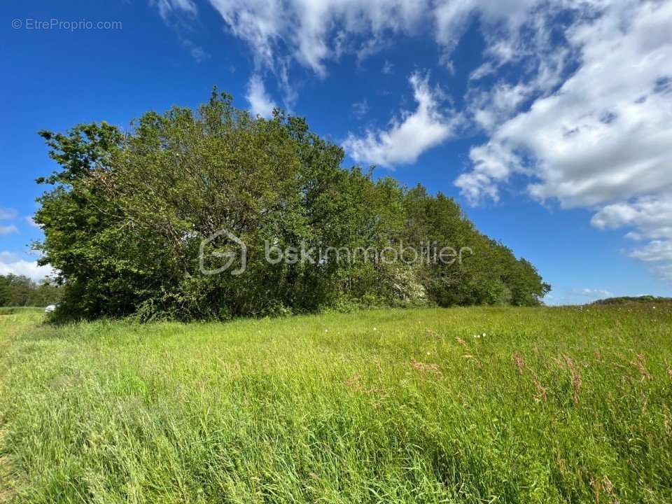 Terrain à MARRAY