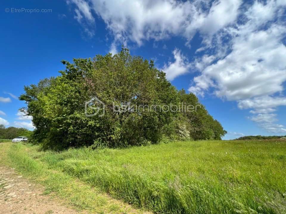 Terrain à MARRAY