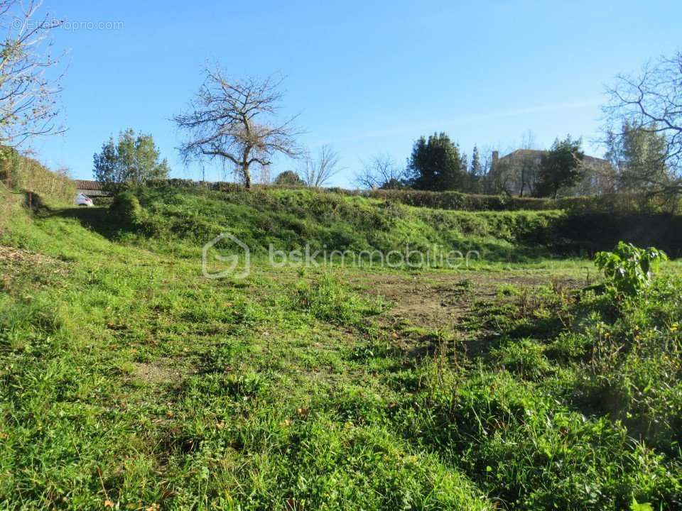 Terrain à AIRE-SUR-L&#039;ADOUR