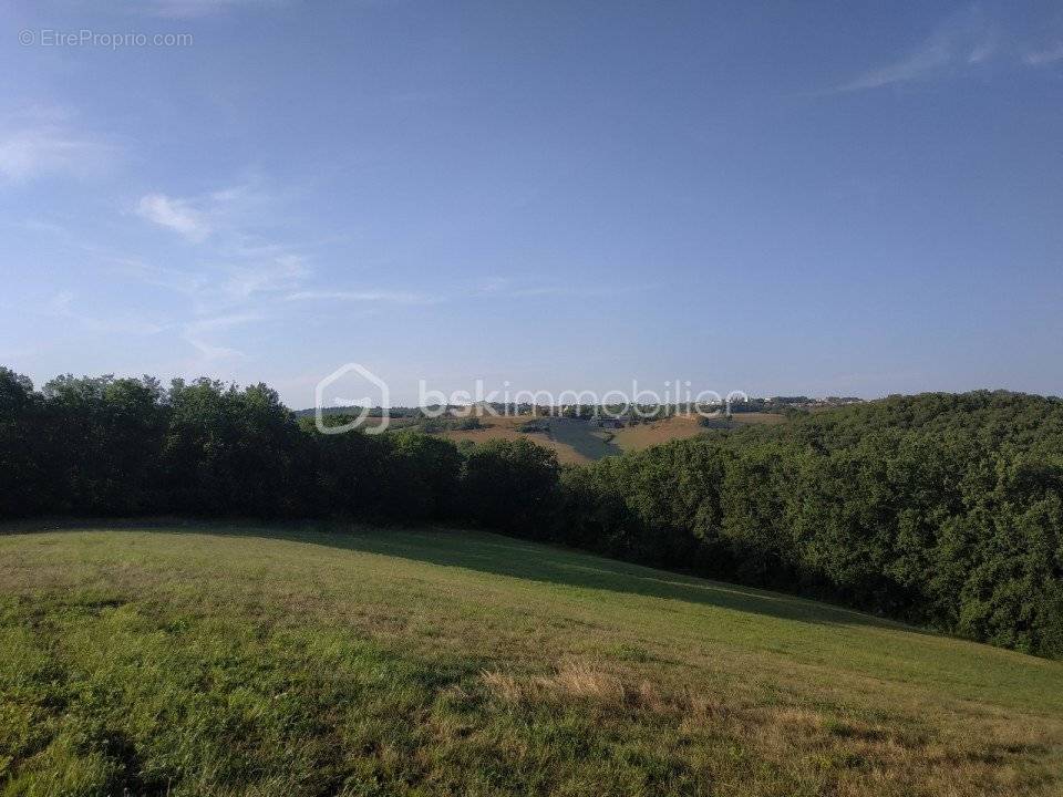 Terrain à ALBI