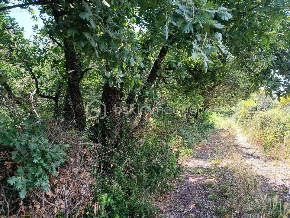 Terrain à LA CAPELLE-ET-MASMOLENE