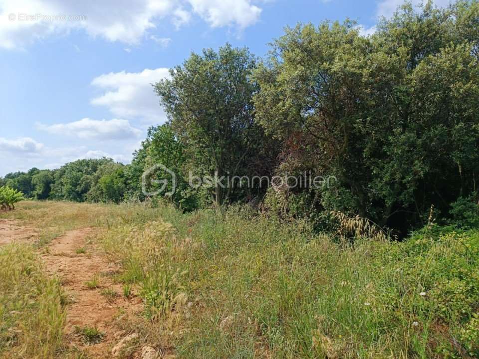 Terrain à LA CAPELLE-ET-MASMOLENE