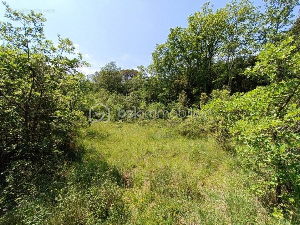 Terrain à LA CAPELLE-ET-MASMOLENE