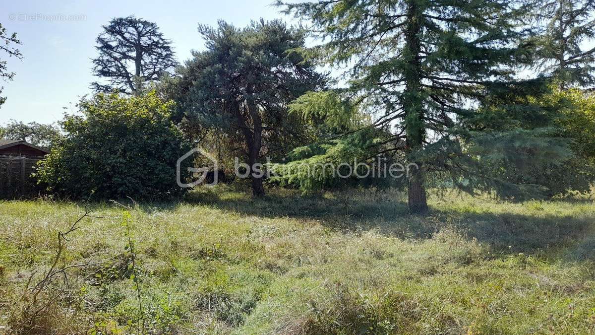 Terrain à SAINT-GEORGES-SUR-CHER