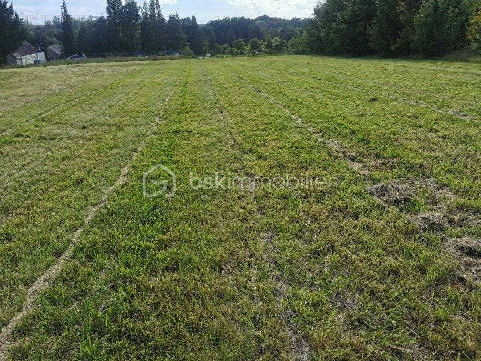 Terrain à LA SELLE-SUR-LE-BIED