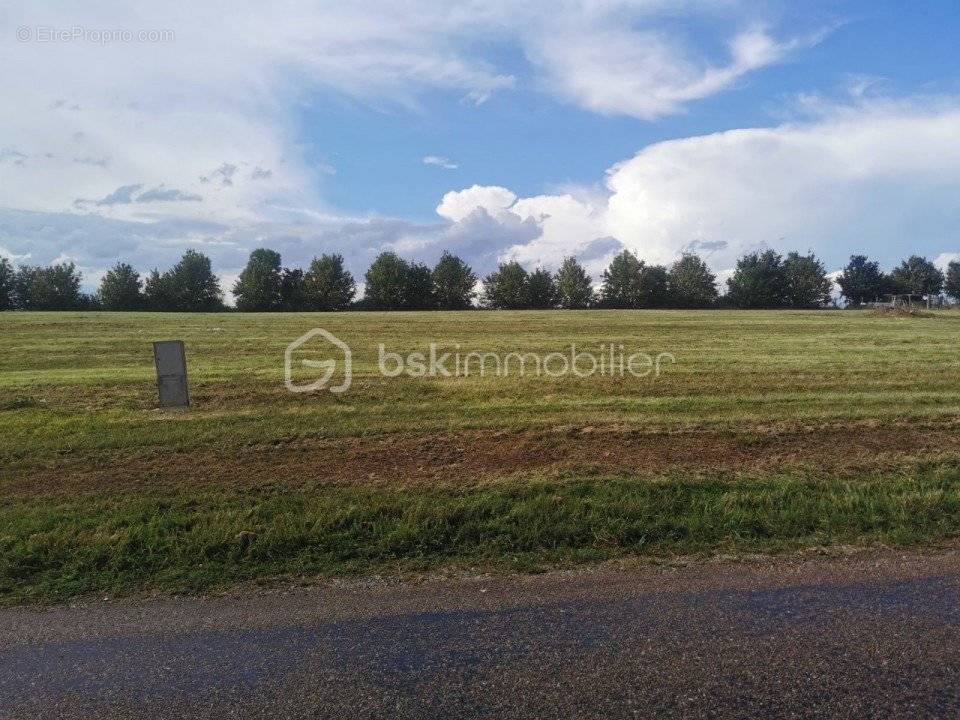 Terrain à LA SELLE-SUR-LE-BIED