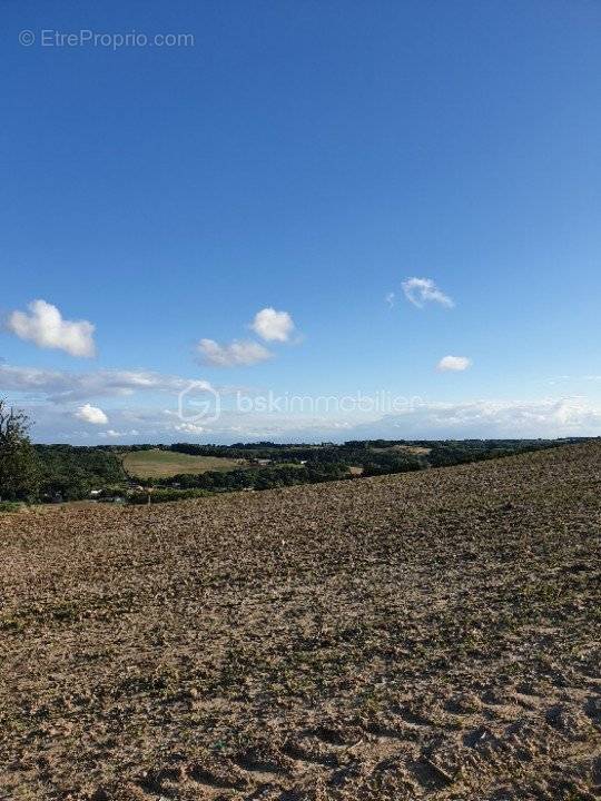 Terrain à SALVAGNAC