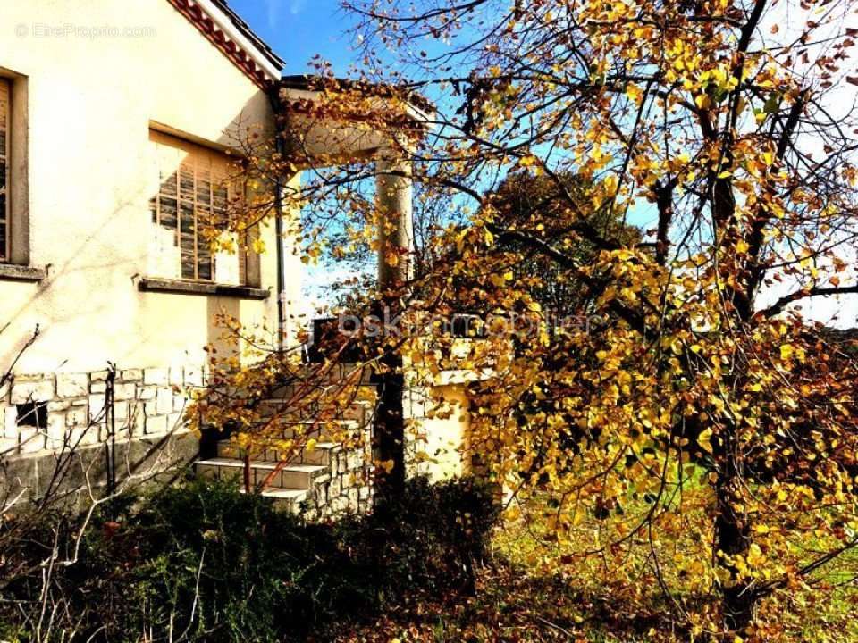 Maison à MONCLAR-DE-QUERCY