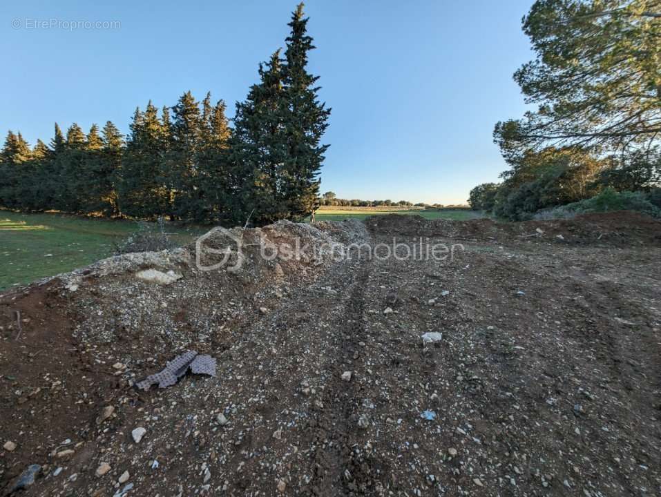 Terrain à COLLIAS