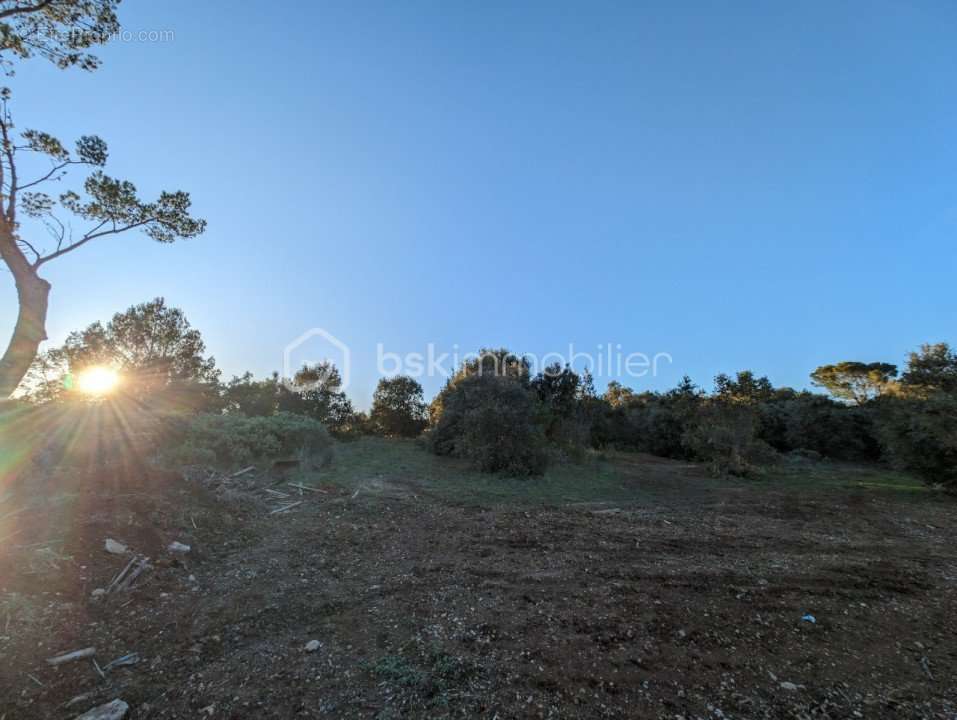 Terrain à COLLIAS