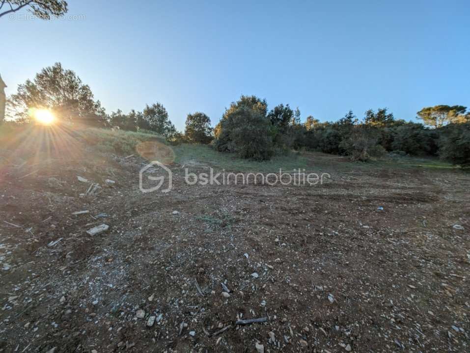 Terrain à COLLIAS