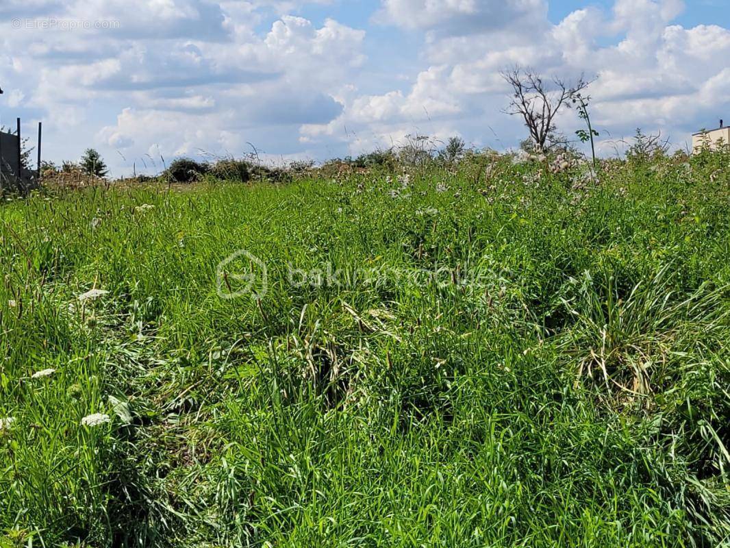 Terrain à ABLAINCOURT-PRESSOIR